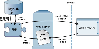 database driven website in Mumbai